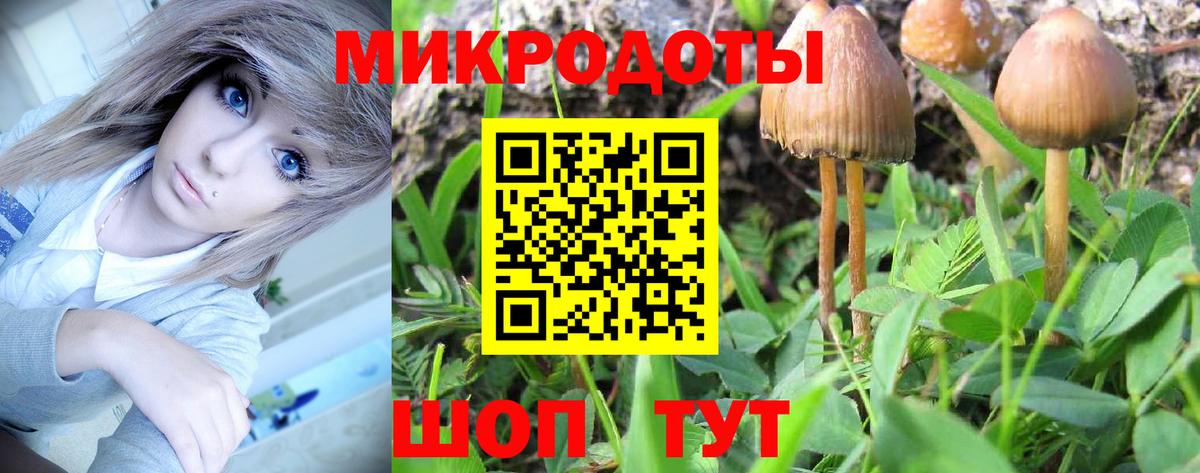 Галлюциногенные грибы GOLDEN TEACHER  Вход с VPN  Электросталь 