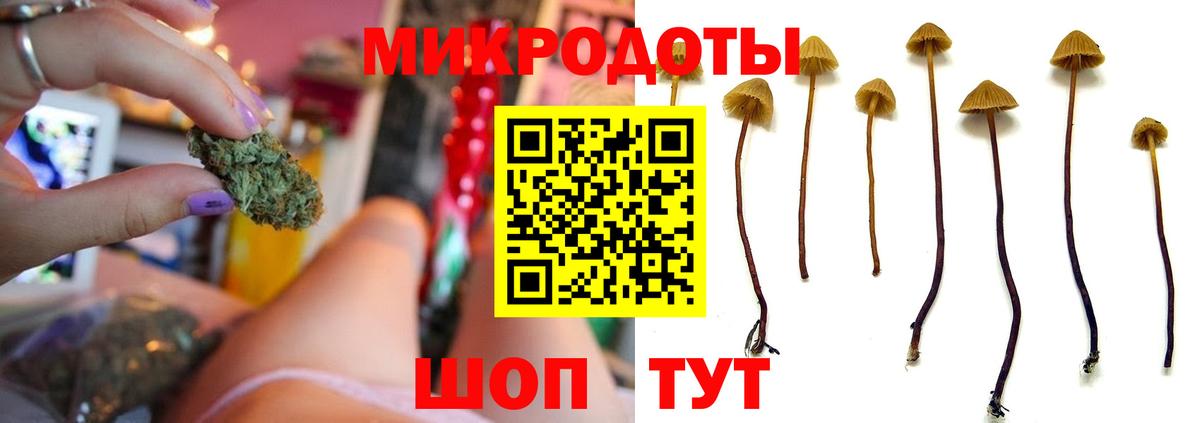 Галлюциногенные грибы Cubensis Электросталь